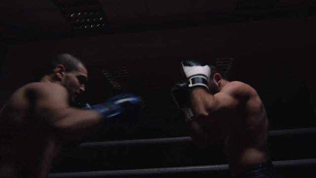 Professional combat athletes in boxing gloves fighting on ring in slow motion