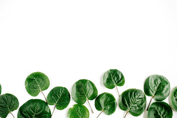 Green leaves pattern on white background. Flat lay, top view. Blog header