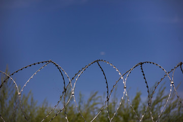 barbed wire