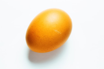 An egg with feather