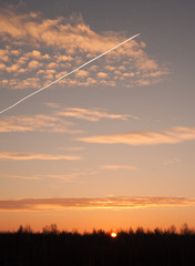 dawn sky plane forest