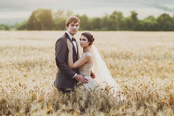 Loves couple in wheat field in sunlight. Romantic feelings at sunset