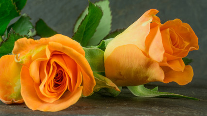 Orange roses on slate, background