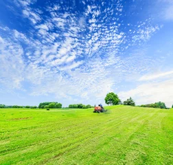 Papier Peint photo Été field of green grass and blue sky in summer day