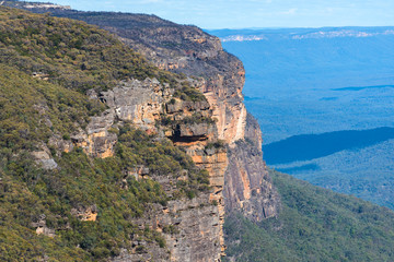 Blue mountains landscape of mountains and eucalyptus forest