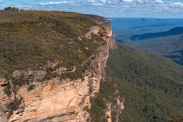 Blue mountains landscape of mountains and eucalyptus forest