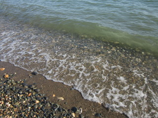 Морской берег 