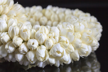 Beautiful Jasmine  garland of flowers
