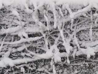 雪と蔓のテクスチャ