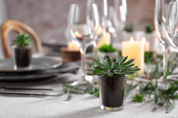 Table served with succulent plants for dinner
