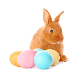 Cute red rabbit with Easter eggs  on white background