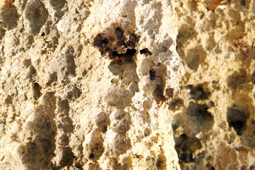 Natural pattern sandstone on the beach
