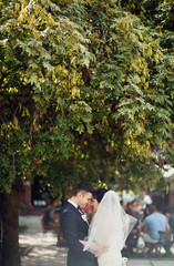 Romantic newlyweds under the green tree