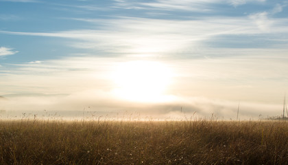 A beautiful landscape with fog on background sunrise. 