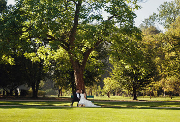 Newlyweds on the bench under the tree in the park