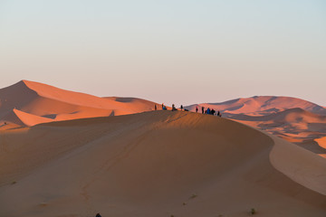 Fototapeta na wymiar group of tourist observer sand desert 