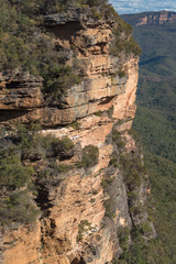 Blue mountains landscape of mountains and eucalyptus forest