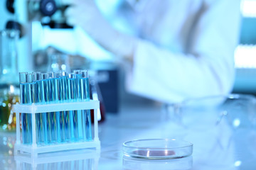Test tubes with blue samples on laboratory background