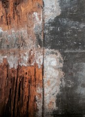 wood decay