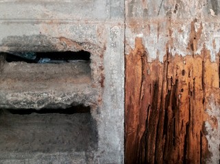 wood decay