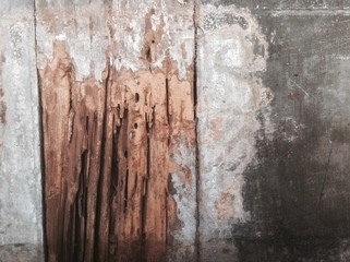wood decay