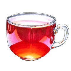 Hand drawn herbal cup of tea in glass mug vector illustration, isolated on white background, with fancy hand lettering.
