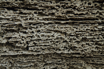 old sandstone texture by the sea