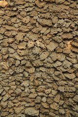 old sandstone texture by the sea
