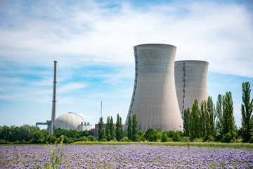 Kernkraft - Atomkraftwerk mit Blumenwiese