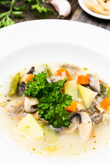 BIO Vegetable Soup Detail with Carrot, Mushrooms, Parsley Leaves, Garlic and Potatoes