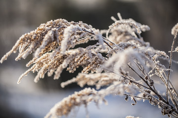 Natura w zimie © Rafal Kucharek