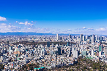 Fototapeta premium 新宿副都心と原宿・明治神宮周辺の町並み