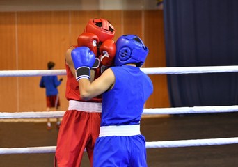 The duel of two boxers