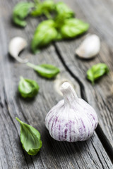Garlic and Basil Leaves on Wooden Background