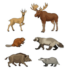Set of vector forest animals