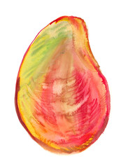 Single big bright ripe mango fruit painted in watercolor on clean white background