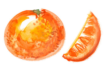 Whole round orange and one slice painted in watercolor on clean white background