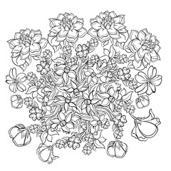 Hand drawn ink pattern. Coloring book for adult