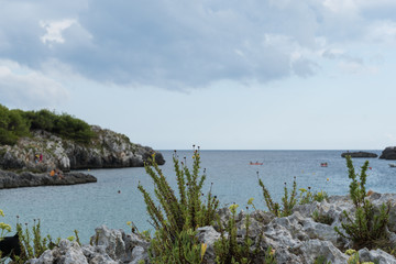 Rocky coast of the Adriatic Sea, Italy

