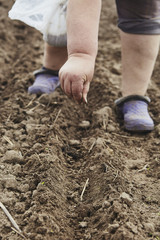 Farmer's female hands planting seed in soil