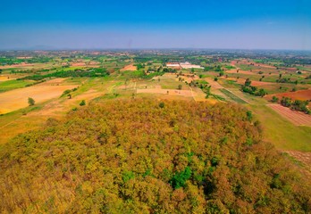 Often many farmers cut forests to provide more land for planting crops