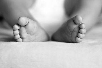 Baby feet up close