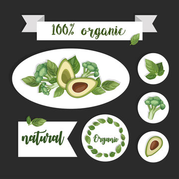 Organic food. Stickers of health vegetable avocado, broccoli and basil leaves isolated on gray background. Hand drawn vector illustration. Beautiful template for your design.