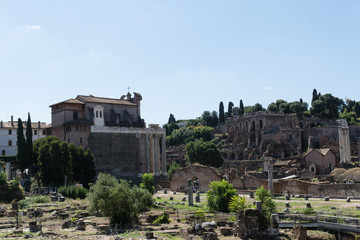 Fototapeta na wymiar Ruins of ancient Rome, Italy.