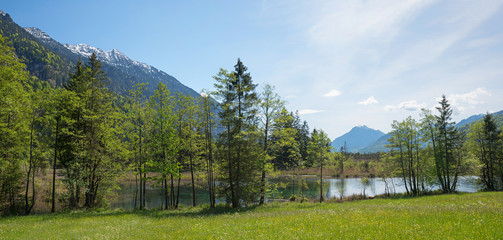 Fototapeta premium Naturlandschaft Sieben Quellen im Loisachmoor