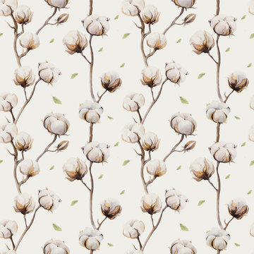 Watercolor vintage background with twigs and cotton flowers boho