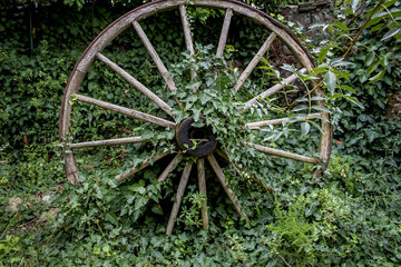 Rueda de carreta