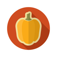 Pepper flat icon. Vegetable vector