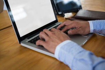 Business executive using laptop at desk