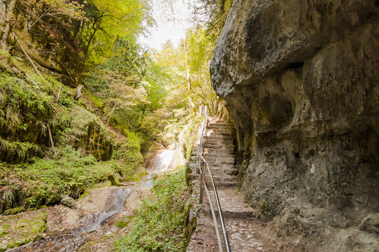 Twann, Twannbachschlucht, Schlucht, Wanderweg, Waldweg, Felswand, Wald, Wasserfall, Wasserschwelle, Herbst, Schweiz